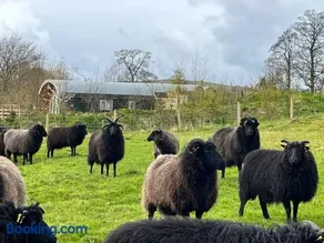 Grange Beck Farm Glamping - Image 5