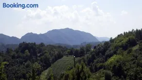 Green Peak - Image 4