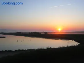 Chambre les flamants, climatisation, avec vue imprenable sur les étangs, petit déjeuner offert - Image 1