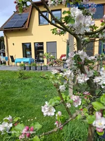 Ferienwohnung EnergiePunkt am Planitzwald - Image 3