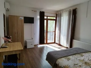 Pensiunea Florilor Satu Mare - Image 2