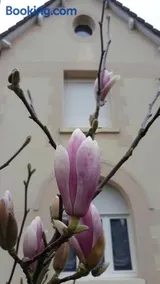 Le Gîte du Magnolia - Image 2
