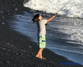 Coconut Palms Vacation Rental near lava fields and beaches - Image 1