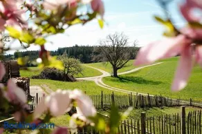 Chiemgauer Landliebe - Image 1
