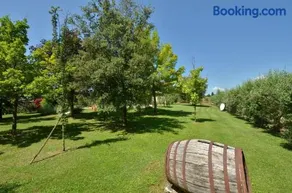 Capannina - Image 3