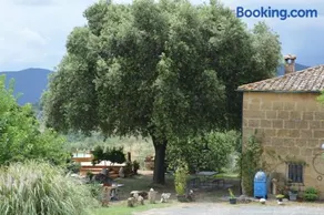 Agri-Bio Podere Santa Palmira - Image 1