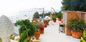 VILLA MARINA PICCOLA ai FARAGLIONI - Image 3