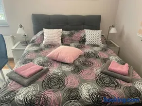 Apartman Spa Bačka - Image 4
