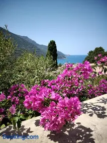 Double terrasse Ombre Mer - Image 3
