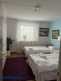 Viksjo Centrum Apartment - Image 3