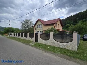 Vila Pângărați - Image 3