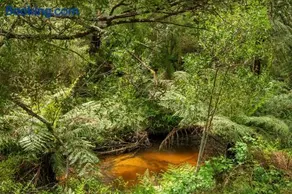 Millers Rest - Image 5