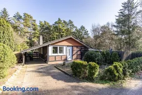 Schemder Bergmark in den Dammer Bergen - Image 5
