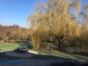 LE DOMAINE DU SENS - Image 3