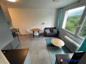 NOVÝ HORSKÝ APARTMÁN v Jizerských horách - Image 2