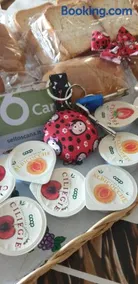 Ladybug Apartment - Image 1