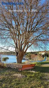 AriaDeMar - Image 3