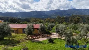 Quinta-lina de serpins - Image 4