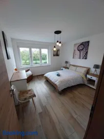 Le BORD DE SARRE 3 GRANDES CHAMBRES - Image 1