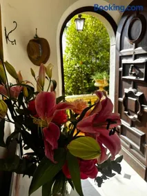 Villa Tricia Cannes - Image 2