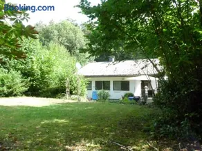 Bon Air - Image 4