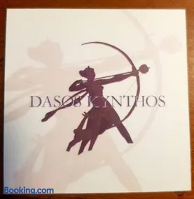 Guest House Dasos Kynthos - Image 2