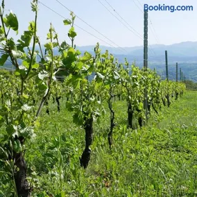 vacation house WAKURA わ蔵 - Image 2