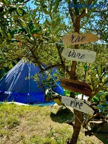 Tipi sous les étoiles service petit déjeuner et dîner - Image 5