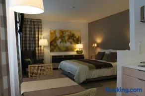 Apartments42 - Image 1