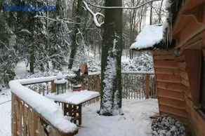 B&B La Cabane du Bois Dormant - Image 4