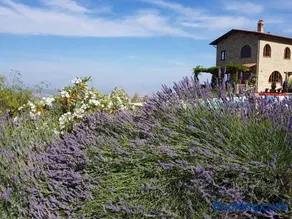 Villa Bella Costa - Image 3