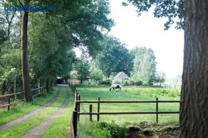 Gastenverblijf Het Muzehuis - Image 2