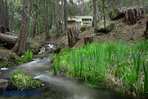 (11R) Spring Meadow Retreat at The Redwoods In Yosemite - Image 1