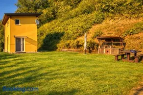 Nazem Holiday - Image 1