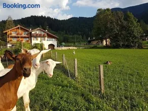 Agritur Maso Piasina - Image 3