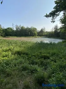 Købmandsgården i Blære - Image 1