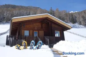 Ferienhütte Premstlahof - Image 3