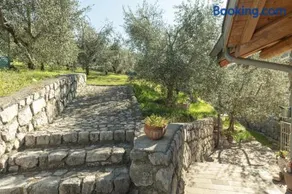 Olivi e Ricordi, Madruzzo Ospitar - Image 1