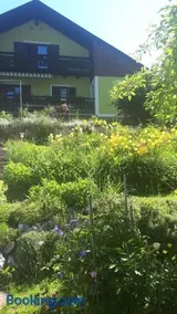 Haus Pilz - Image 4
