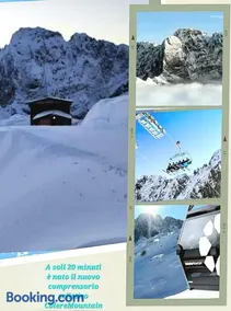 Stella alpina - Image 3