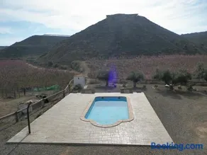 MAS MIRONO - Image 2