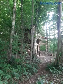 Baumhausnächte - Image 3
