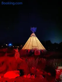 חוות זית המדבר - Image 3