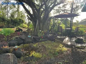 Majestic Banya tree cabin - Image 1