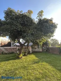 Casa Palmer, con gran jardín - Image 3