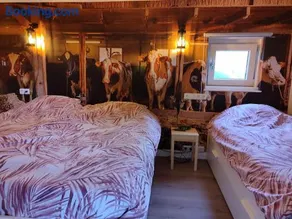 B&B Verwoldsehof 'Op de deel' - Image 2