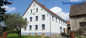 Biała Kalina Kaczawy - Image 2