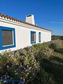 Casa de Campo, Quinta do Funchal - Image 2