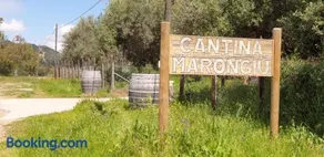 Cantina Marongiu - Image 2