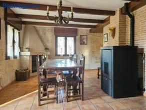Los Olivos de Miróbriga - Image 2